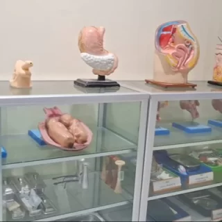 https://unsurya.ilmci.com/storage/facility/thumbnail/69e8b5cb6d44e-1776858571.webp